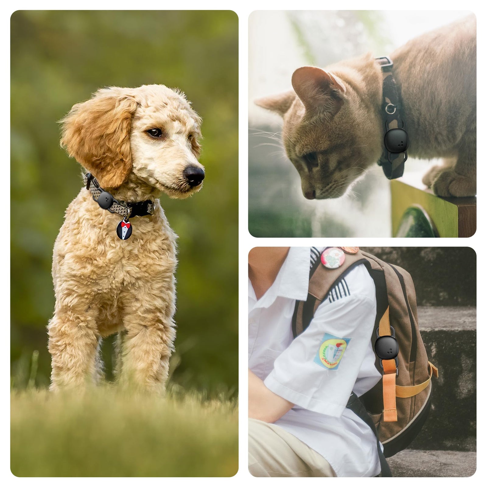 Tile Tracker Collar Holder