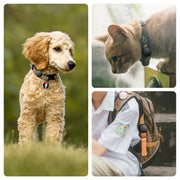 Tile Tracker Collar Holder