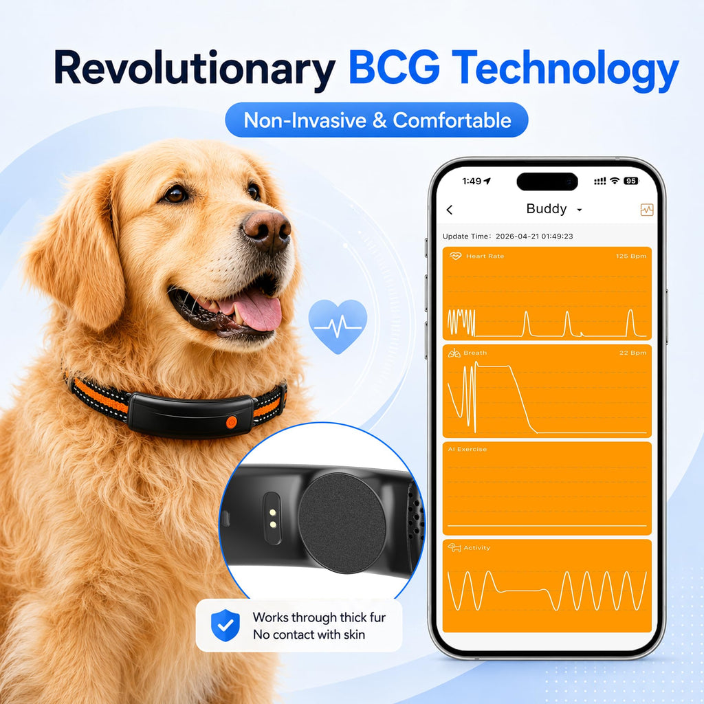 Smart GPS Pet Tracker Collar