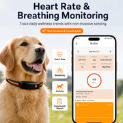 Smart GPS Pet Tracker Collar