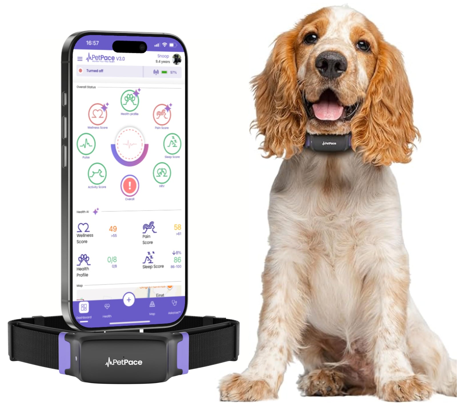 AI Smart Dog Health Collar