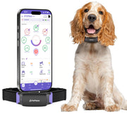 AI Smart Dog Health Collar