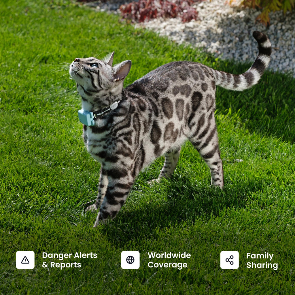Smart GPS Cat Tracker