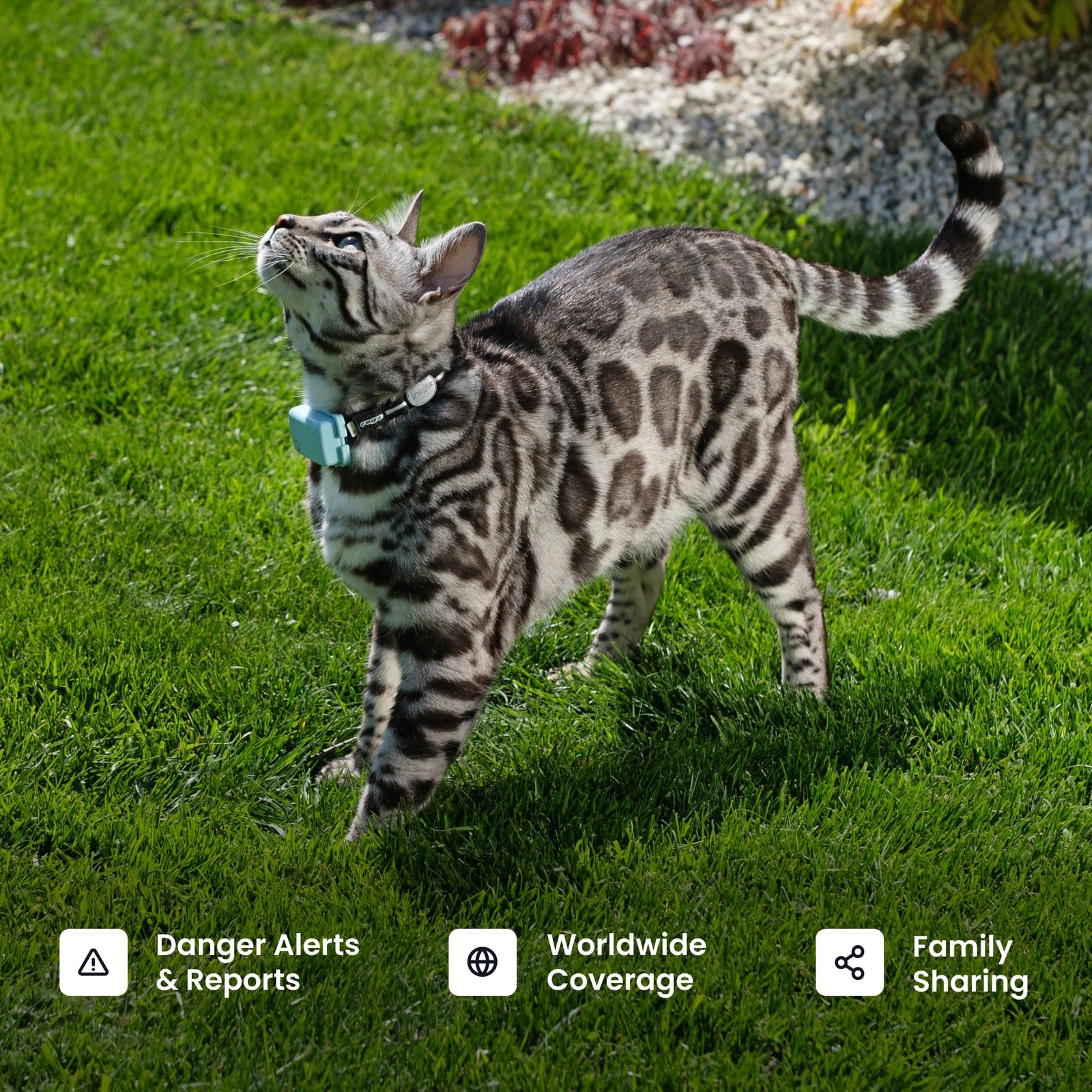 Smart GPS Cat Tracker