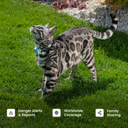 Smart GPS Cat Tracker