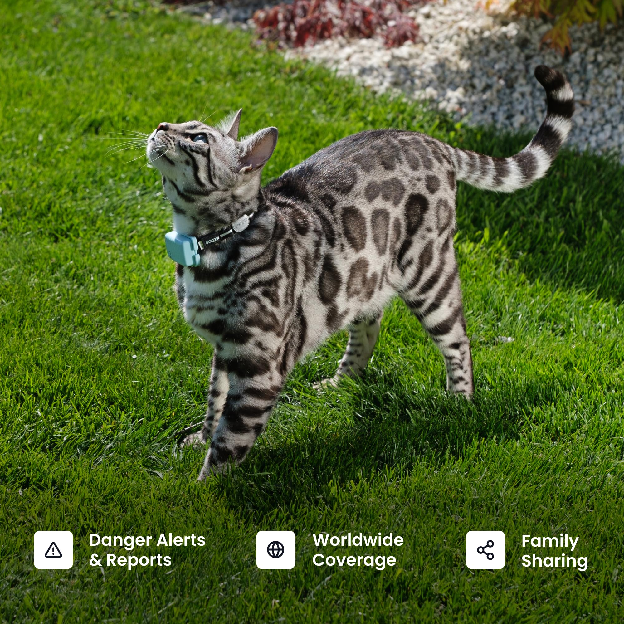 Smart GPS Cat Tracker