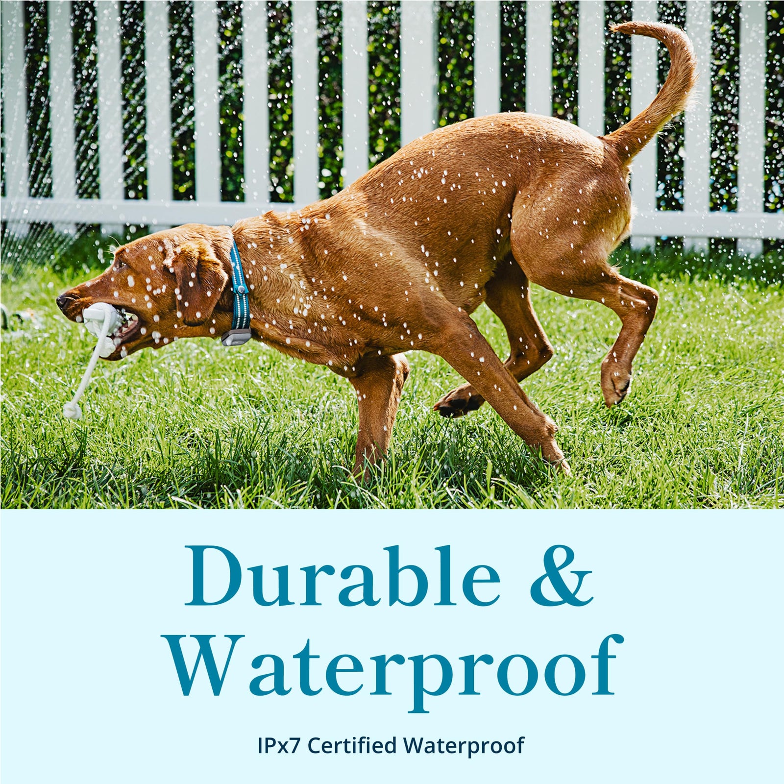 Waterproof GPS Dog Tracker
