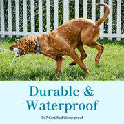 Waterproof GPS Dog Tracker