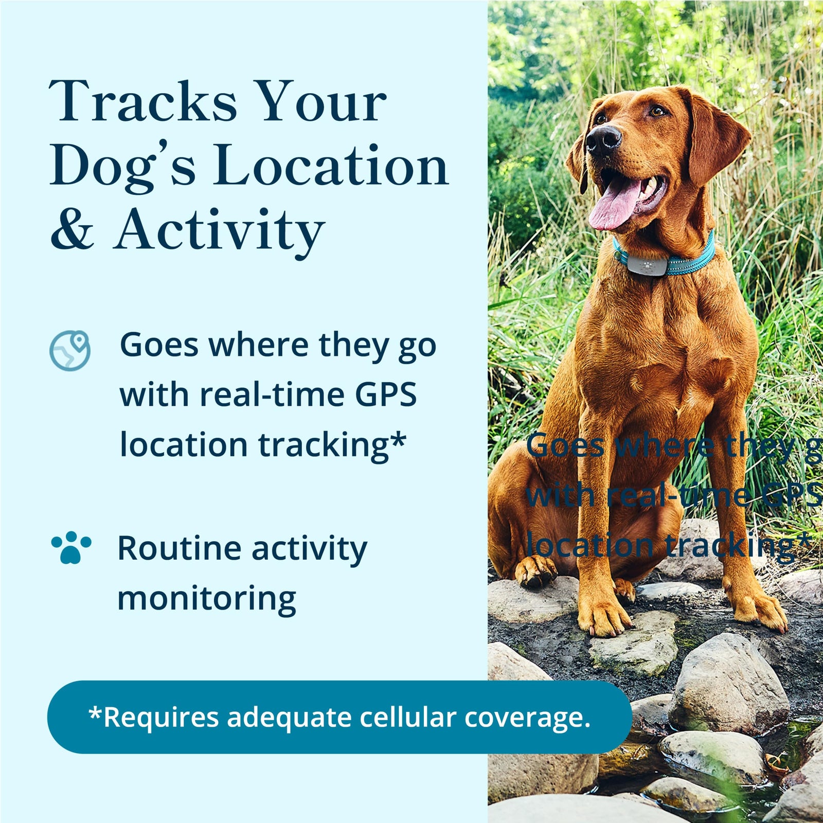 Waterproof GPS Dog Tracker