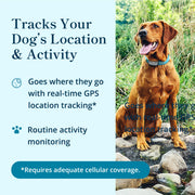 Waterproof GPS Dog Tracker