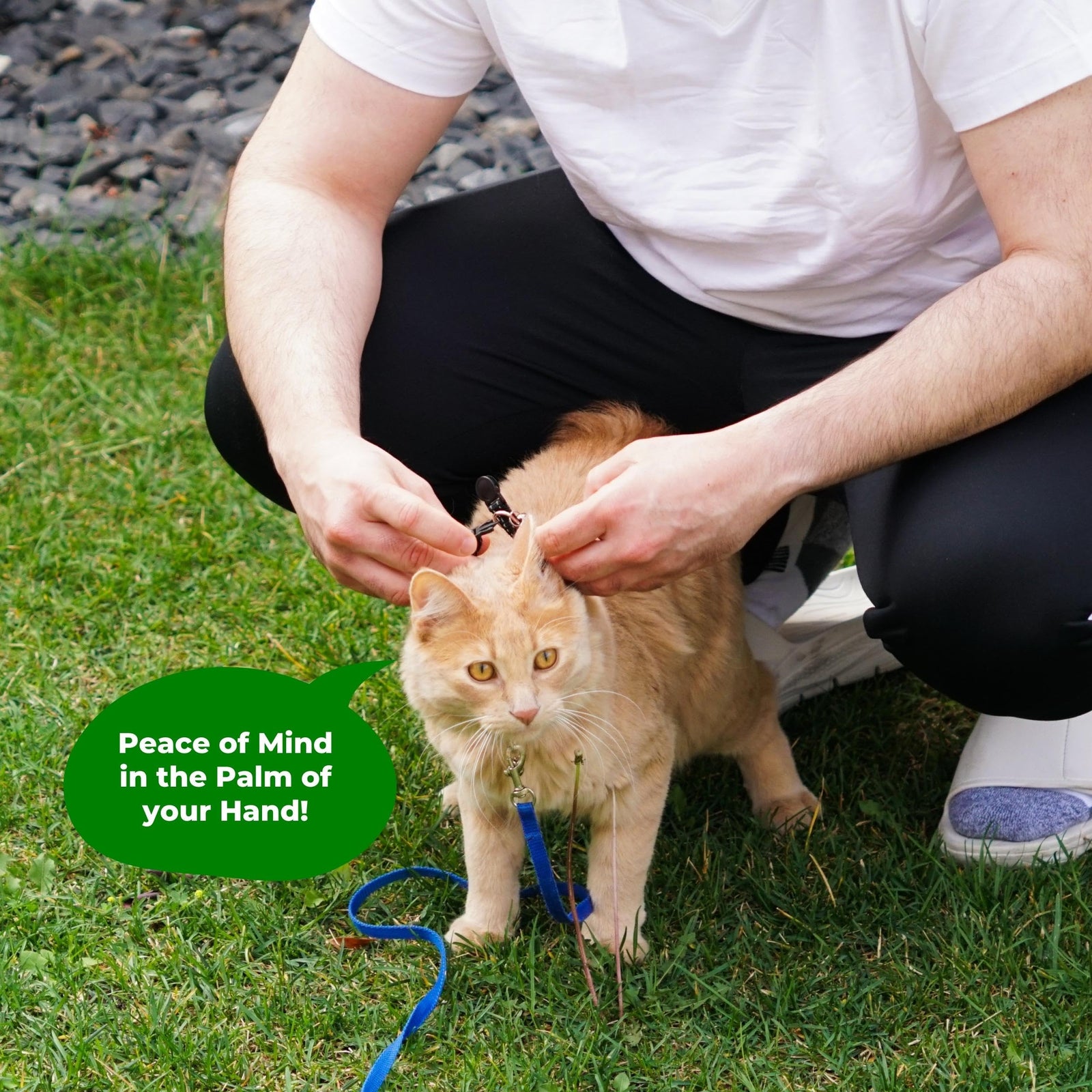 Tile Tracker Cat Collar
