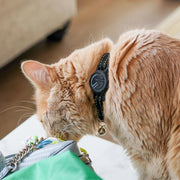 Tile Tracker Cat Collar